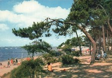 17  RONCE LES BAINS LA PLAGE DE LA CEPE