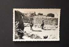 photo ancienne - guerre d'Algérie 1957- paysage 4 (animé)