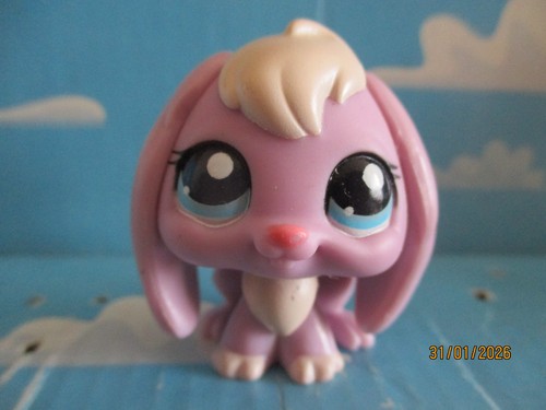 Petshop lapin belier - petshop,