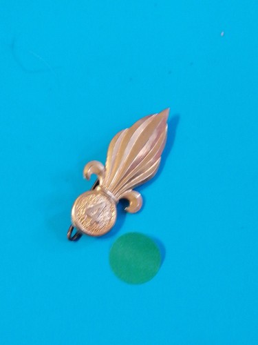 Insigne legion etrangere - insigne,