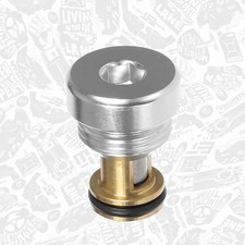 Valve de pression d'huile AUDI