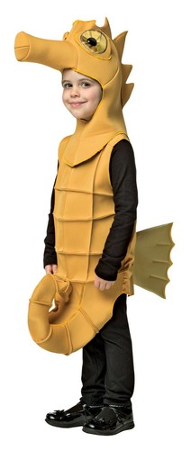 Rasta imposta hippocampe - imposta,