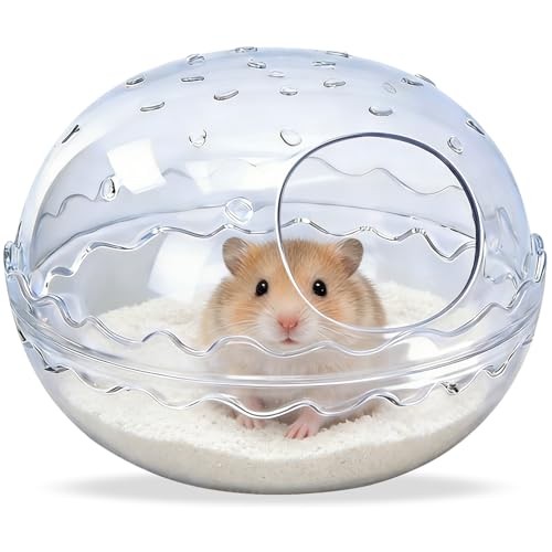 Hamsters bathtub box hamster - hamsters, box,hamster