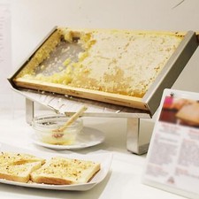 Présentoir à cadre en nid