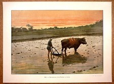 PRÉPARATIFS D'UNE RIZIÈRE AU JAPON - Photochromie fin 19ème Gravure