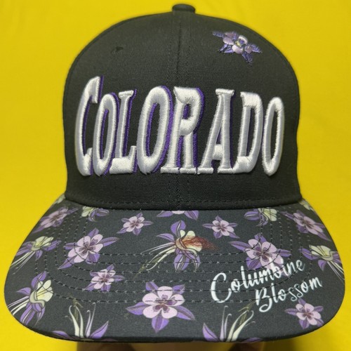 Pitbull black hat colorado - pitbull,