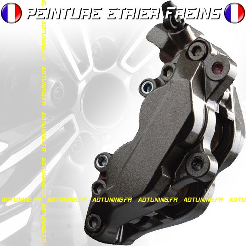 Kit tuning peinture etrier - kit,