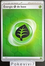 Carte Pokemon ENERGIE PLANTE