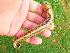 ▨ 7X7mm Ancienne Poignée de