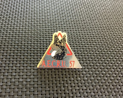 Pin lapel - pin's,