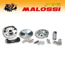 517723 [MALOSSI] Variateur