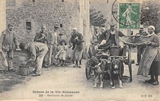 CPA 14 SCENES DE LA VIE NORMANDE MARCHANDS DE MOULES ( ATTELAGE CHIEN 
