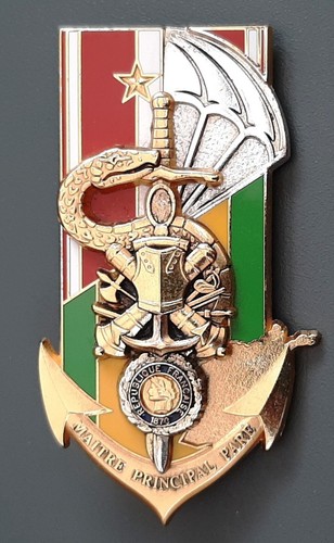 Insigne maitre principal pare - insigne,