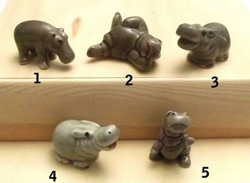 Hippopotame miniature - hippopotame,