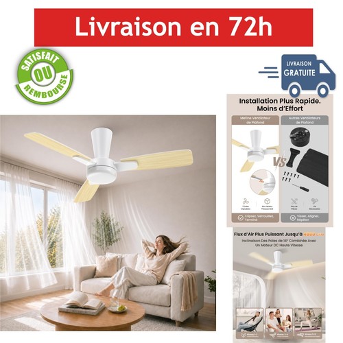 Ventilateur plafond 106cm avec - ventilateur,