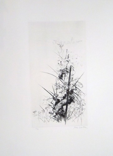 Pierre letellier pointe sèche - letellier,