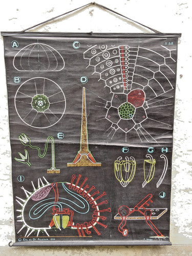 Ancienne affiche scolaire - , dr
