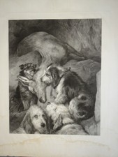 Edwin LANDSEER (1802-1873)