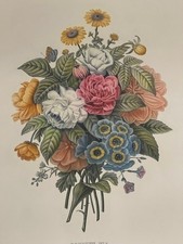 Rare grande gravure J. P