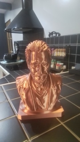 Buste johnny hallyday pla - johnny, en