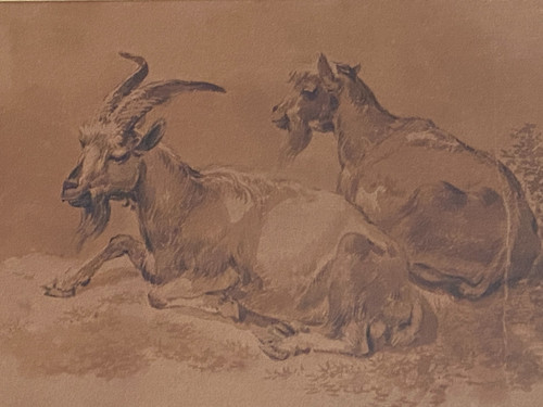 Lavis encre sépia sur - lavis,
