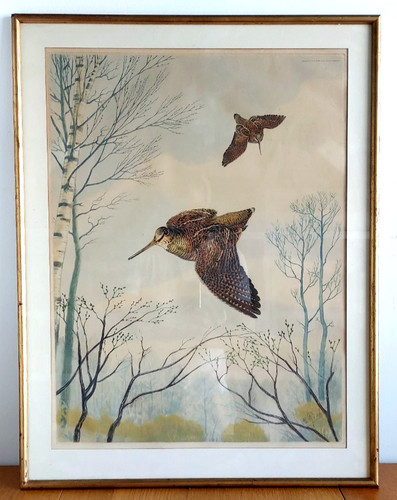 Bécasses vol lithographie - vol,
