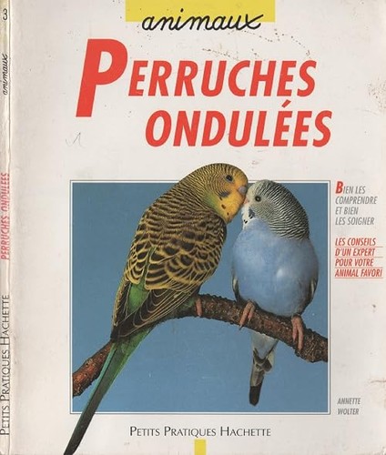 Perruche ondulée bien la - ondulée:,