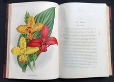 1855 L'illustration horticole