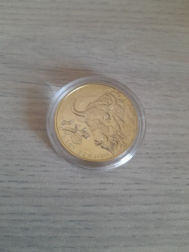 Euros slovaquie bison - slovaquie,