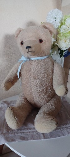 Ours ancien steiff - ours,