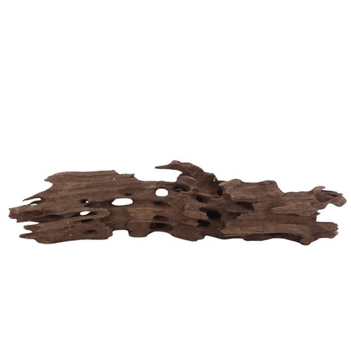 Honey peigne racine - l,