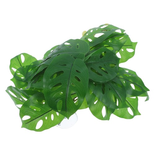 Décoration pour terrarium de - ,