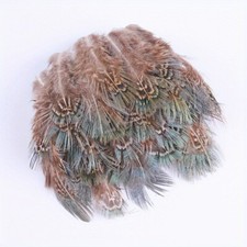50PCS Naturel Coq Plumes