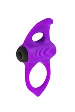 Anneau Vibrant Adrien Lastic 2