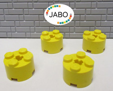 (E4/2/3) LEGO 2x 3941 pierre