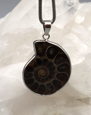 Grand Pendentif AMMONITE
