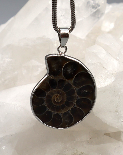 Grand pendentif ammonite - grand,