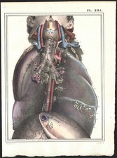 1825 Gravure originale
