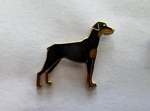 Superbe pin lapel - superbe,