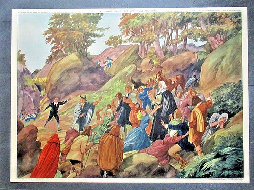 Affiche scolaire rossignol - affiche,