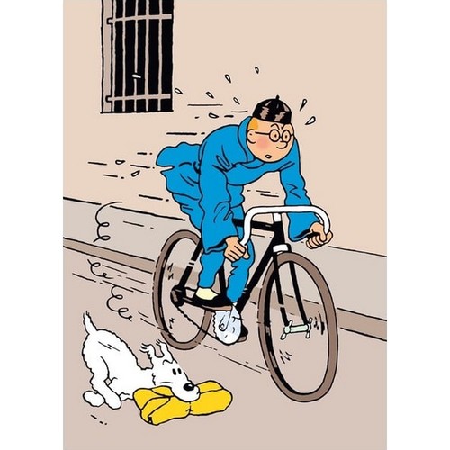 Tintin lotus bleu - lotus,