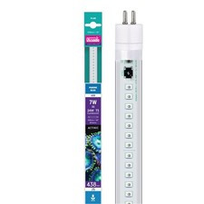 Arcadia Tube LED T5 Marine