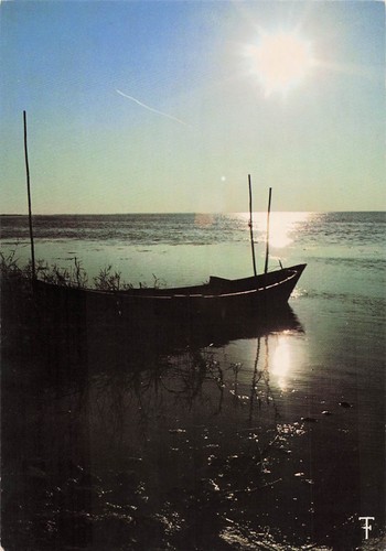 Camargue barque peche - 13,