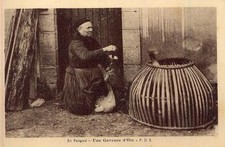 EN PERIGORD Une Gaveuse d'Oie (04 08 2013 )