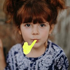  Sifflets d'oiseaux, accessoires joyeux de fête, instruments de musique, 16