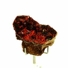 Crocoite.179.5 ct. Adelaide Mine, Dundas, Tasmania, Australie.