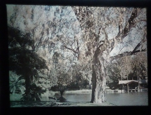 Autochrome arbre eau et - autochrome,