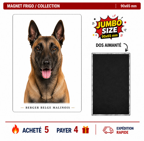 Magnet berger belge malinois