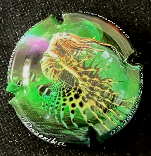 Capsule champagne - de,