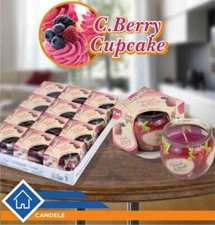 X Ensemble De 12 Pièces Pot En Verre Avec Bougie Parfumée Cupcake Myrtilles DFH